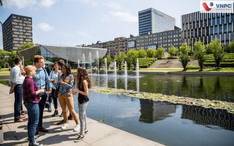 Du học Hà Lan ngành Tâm lý học